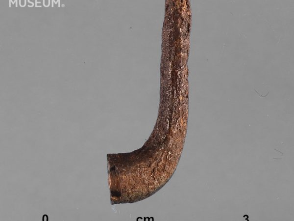 Worked Bone Fishhook