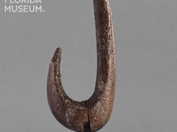 Worked Bone Fishhook