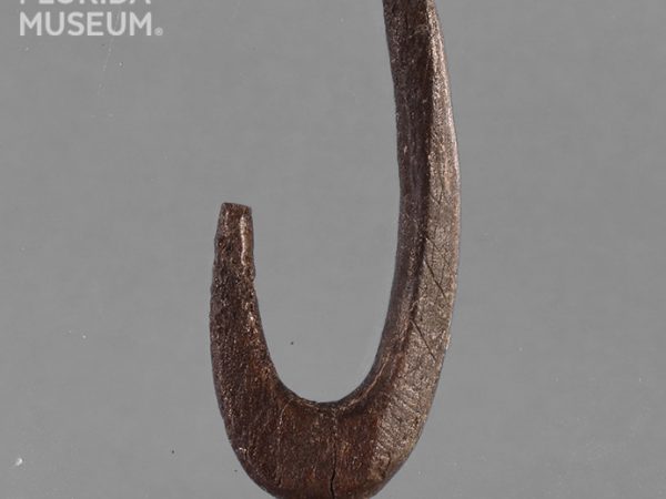 Worked Bone Fishhook
