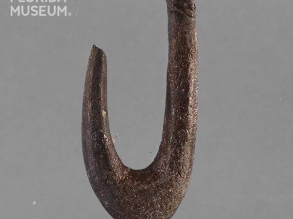 Worked Bone Fishhook