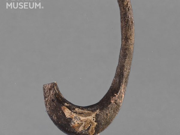 Worked Bone Fishhook