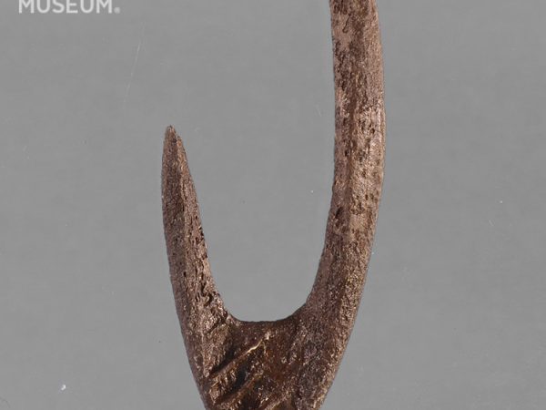 Worked Bone Fishhook