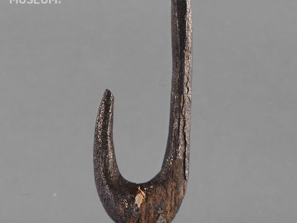 Worked Bone Fishhook