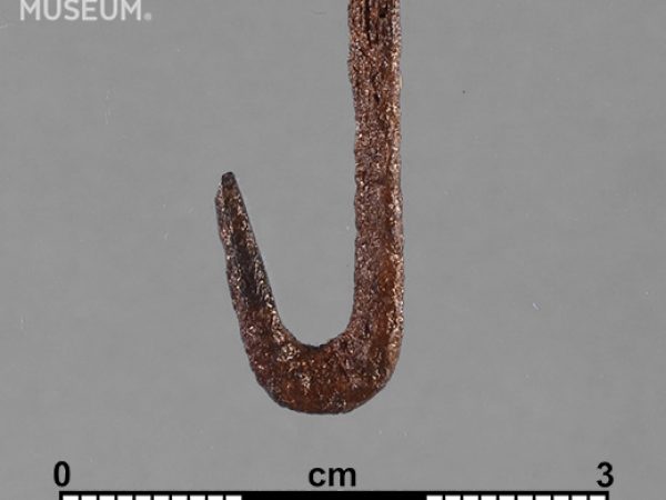 Worked Bone Fishhook_References