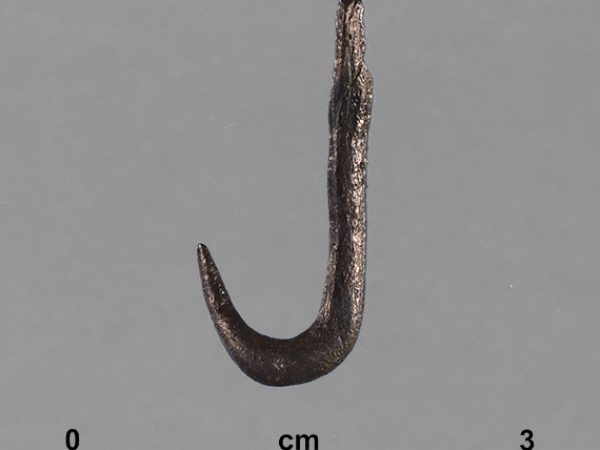 Worked Bone Fishhook