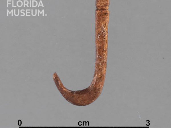 Worked Bone Fishhook