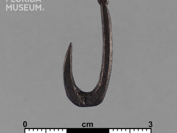 Worked Bone Fishhook