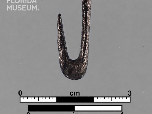 Worked Bone Fishhook