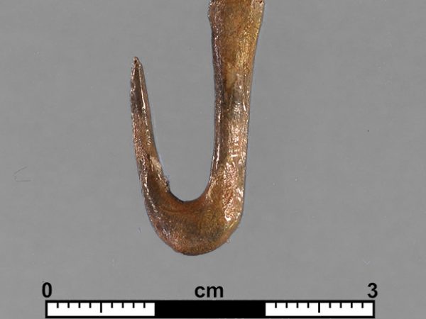 Worked Bone Fishhook