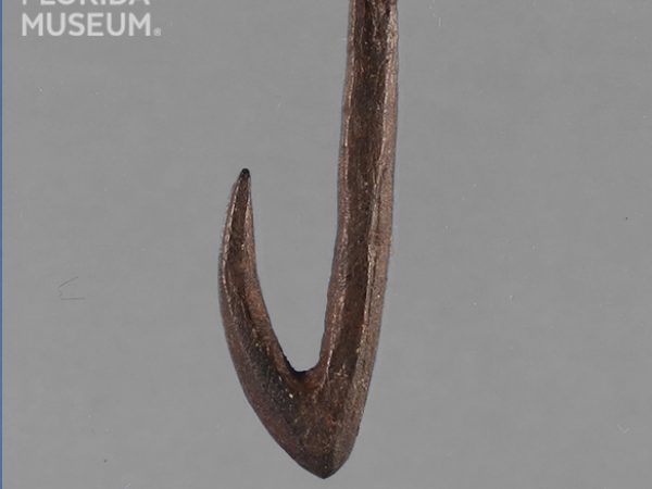 Worked Bone Fishhook