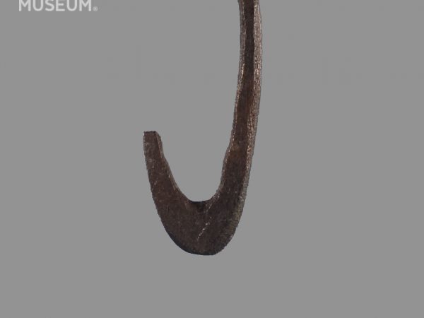 Worked Bone Fishhook