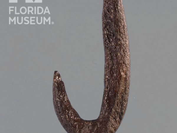 Worked Bone Fishhook