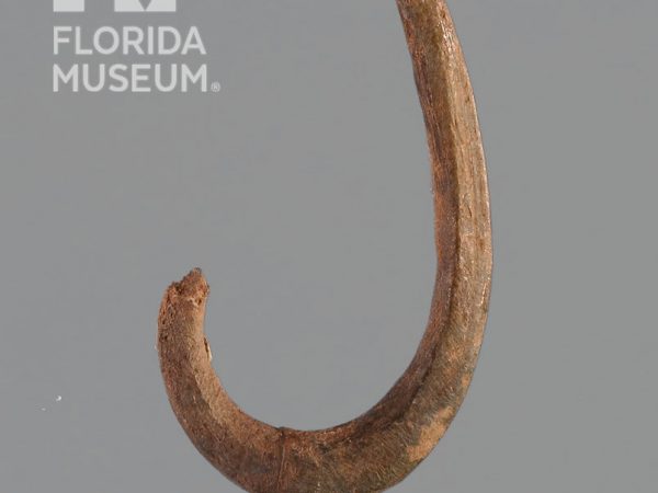 Worked Bone Fishhook