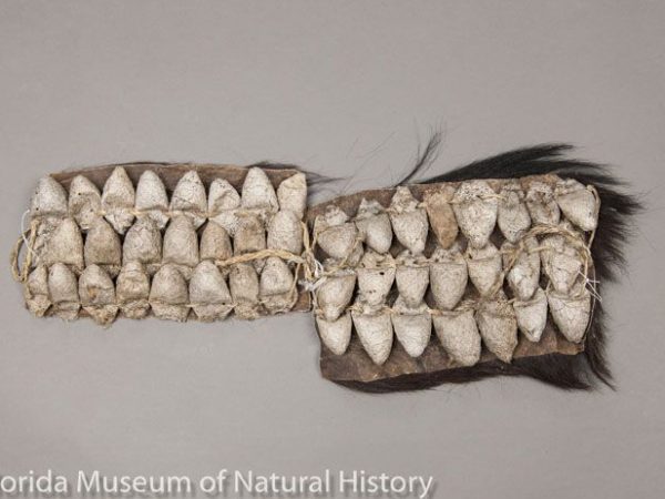 Zulu Tribe, South Africa. Dance rattles made with cocoons of Argema mimosae, which are sewn onto goatskin.