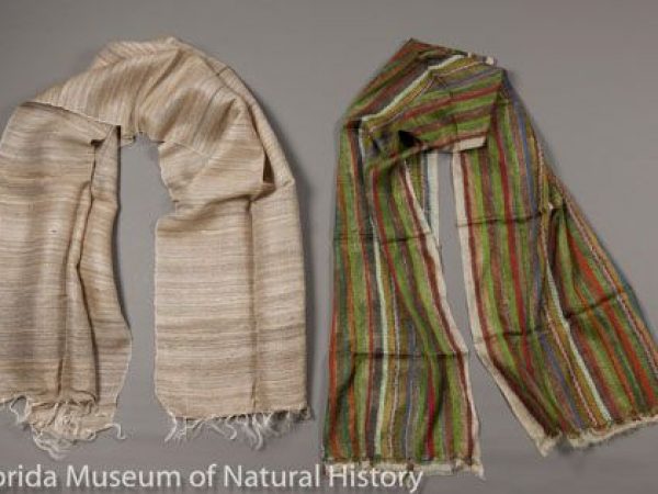 Pictured to the left is a woman’s wrapper with temperate tasar slik (Antheraea proylei= A. pernyi X A. roylei) weft and Chinese tussah (Antheraea pernyi) warp. The weft is handspun and natural colored temperate tasar. The fringes are also reeled Chinese tussah (Antheraea pernyi). Handwoven in 2010 in Uttarakhand. Measures 65 cm X 180 cm. To the right is also a woman’s wrapper handwoven of tropical tasar silk (Antheraea paphia= A. mylitta) in Shantiniketan, West Bengal, in 2010. The stripes were hand painted, and embroidery is of the kantha technique. The outer edges are the natural color of the reeled silk. The piece was designed by a man named Asit Kumar Mondal. Measures 53 cm X 180 cm.