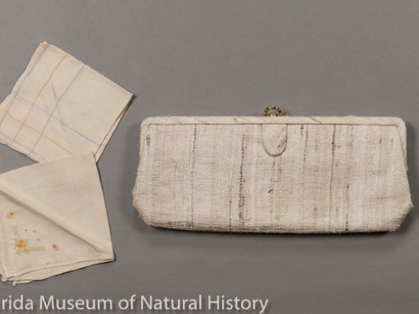 Picture to the left, two handkerchiefs of tussah silk (Antheraea pernyi) made in China in 1930s and imported to the United States. Hand-reeled and hand-woven with decorative floral embroidery. To the right is a 1970's clutch purse of tropical tasar silk (Antheraea paphia = A. mylitta). The natural colored fabric was hand-woven in India using handspun yarns. The purse was probably finished in the UK, or the USA. It is lined with a faille fabric, but there are no designer’s or manufacturer’s tags.