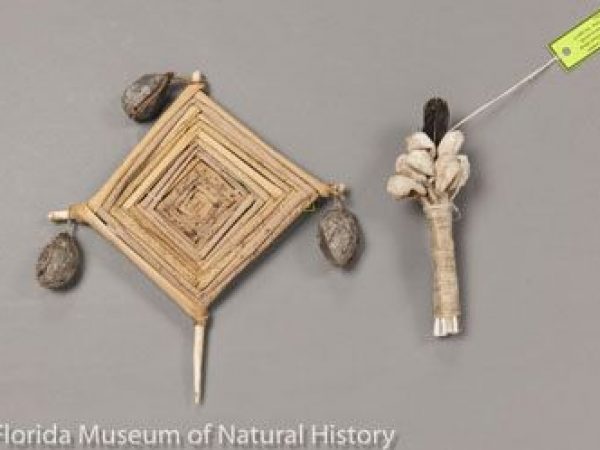 These replica pieces were created by Craig Bates (formerly of Yosemite National Park) and his son Carson Bates of the Sierra Miwok Tribe.The charm (left) is used by the Wailaki Tribe, California. It is composed of tule (Scirpus) stems, willow (Salix) sticks, and cocoons of Hyalophora euryalus. The hand rattle (right) is modeled in the tradition of the Pomo Tribe of northern California. It is made with cocoons of Antheraea polyphemus and contain gravel from an ant hill. It is attached to a handle of goose quills and peacock quills by linen twine.