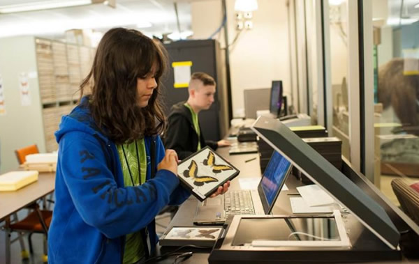 Junior Volunteers assisting with digitizing Irving Finkelstein's Collection