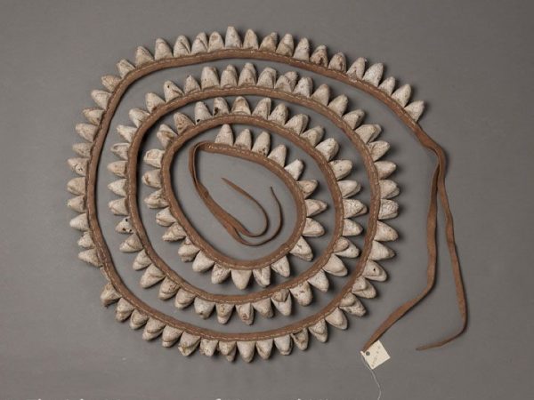 The second pair of ankle rattles made with cocoons of Rothschildia cincta used in the Pascola Dances by Indians in southwestern USA and northwestern Mexico. These are sewn on buckskin, and were made by the Yaqui Tribe in Rio Yaqui, Sonora. This set dates back to the 1950s.