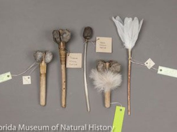 All five hand rattles are replicas based off of historical hand rattles. These rattles were created by Craig Bates (formerly of Yosemite National Park) and his son Carson Bates of the Sierra Miwok Tribe. The first two rattles to the far left represent the Yosemite Miwok Tribe of California. The first rattle is made with cocoons of Hyalophora euryalus. Center is a Pomo Cocoon Rattle, made with a cleaned moth cocoon lashed with deer sinew to a goose quill. The rattle is used by the Eastern Pomo to chase away bad dreams. The fourth rattle is made with cocoons of Hyalophora euryalus. The cocoons contain gravel from an ant hill and is attached with willow twigs to a willow handle by deer sinew and decorated with coyote fur. This rattle represents the Southern Miwok Tribe of central California. To the far right, another handle rattle made with cocoons of Hyalophora euryalus and represents the Central Miwok Tribe of central California. These rattles were used by the Central Miwoks to chase away bad dreams.