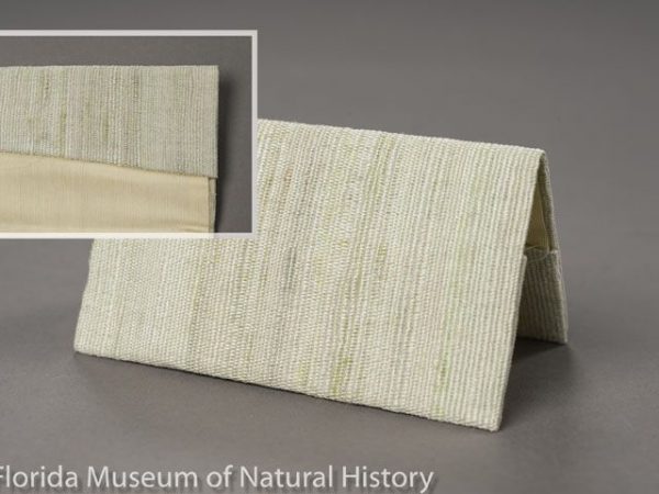 Business card case containing tensan silk (Antheraea yamamai), made in Japan. This indigenous, greenish silk is highly esteemed in Japanese society, so it is very expensive.