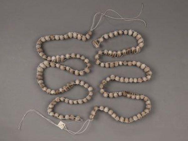 Ankle rattles made by San Tribe (Bushman) in Botswana, Africa with cocoons of Gonometa postica (Lasicocampiadae).