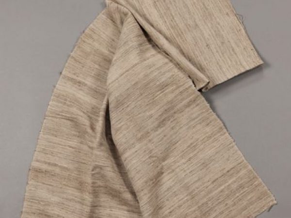 Cloth of tropical silk (Antheraea paphia=A. mylitta) handwoven in India in the 1970s. Natural colored spun yarns. This type of fabric is called katia=(kethe).