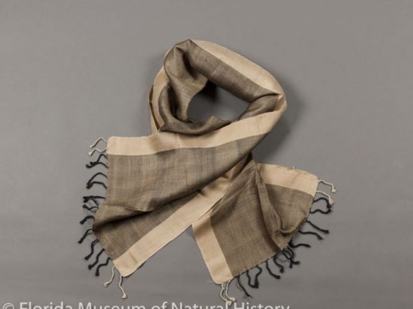 Stole composed of tropical tasar silk (Antheraea paphia). Handspun in villages in state of Jharkhand, and handwoven in Bhagalpur, Bihar, India.