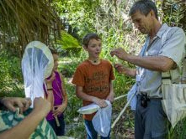 man and children holding butterfly nets and looking at butterflies