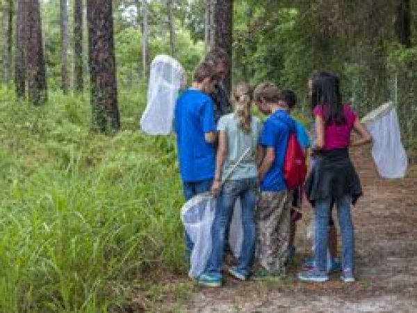 children with nets looking at finds