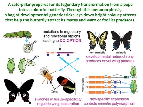 diagram from research paper