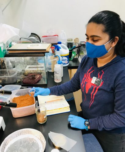 Woman in lab holding cup of caterpillar food