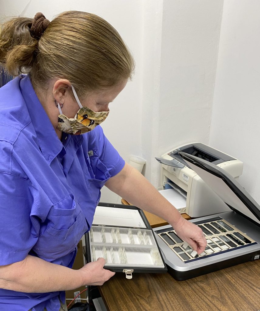 Woman placing microscope slides on flatbed scanner.