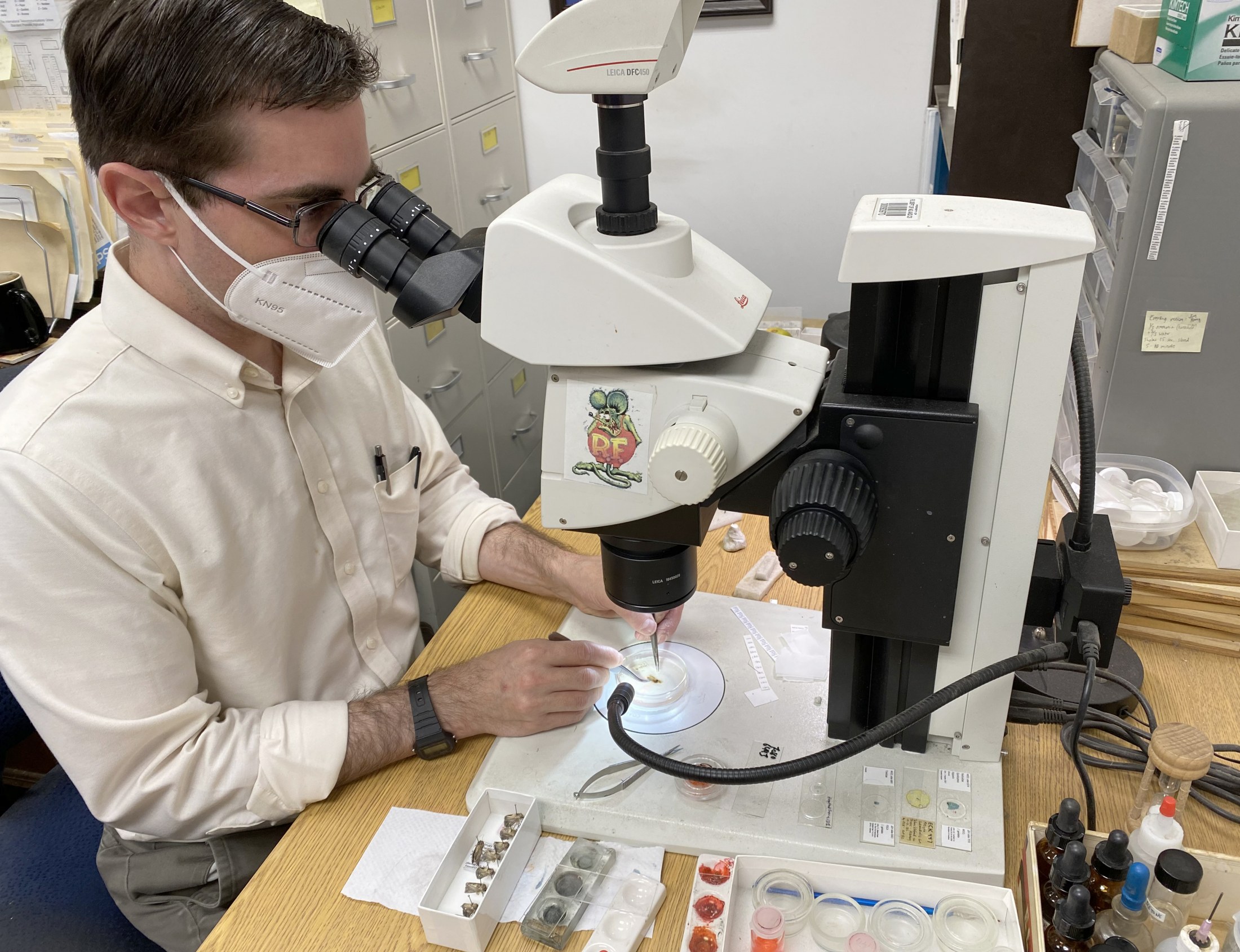 Image of person working at microscope.
