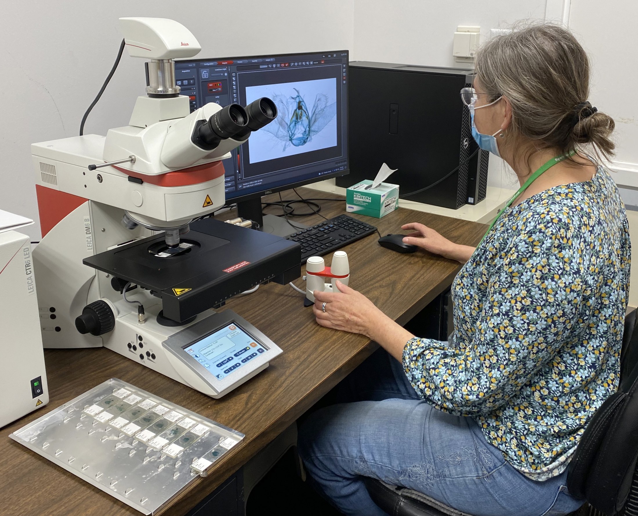 Woman sitting in front of microscope.