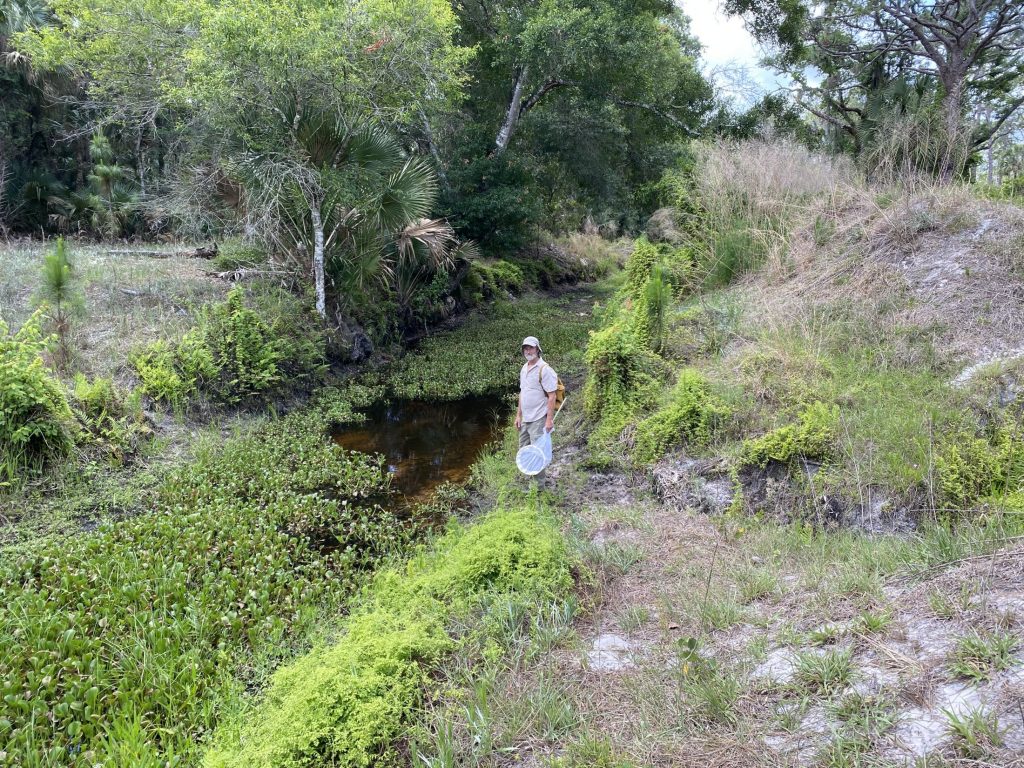 Picture of man standing next to drainage area.