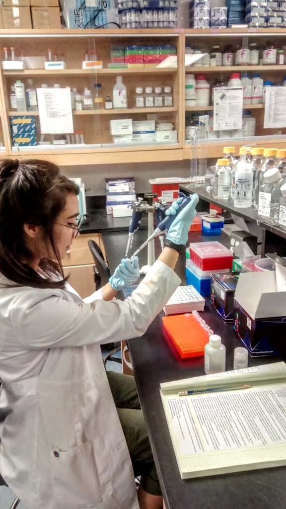 Woman working in lab