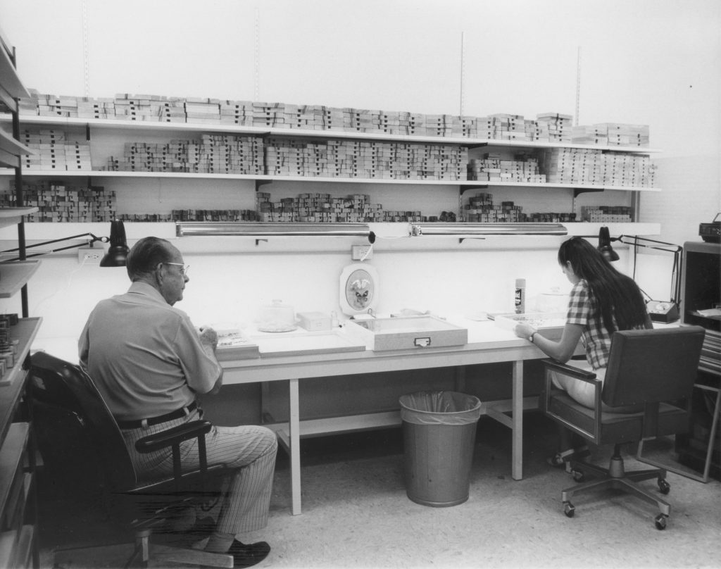 A man and woman working in a specimen preparation area.
