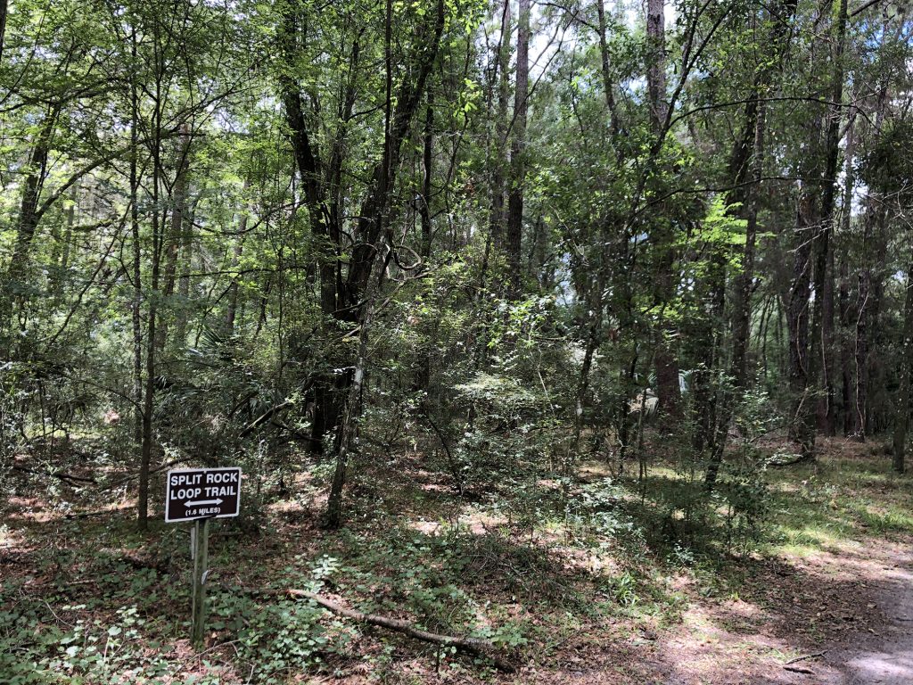 picture of woods with trail sign