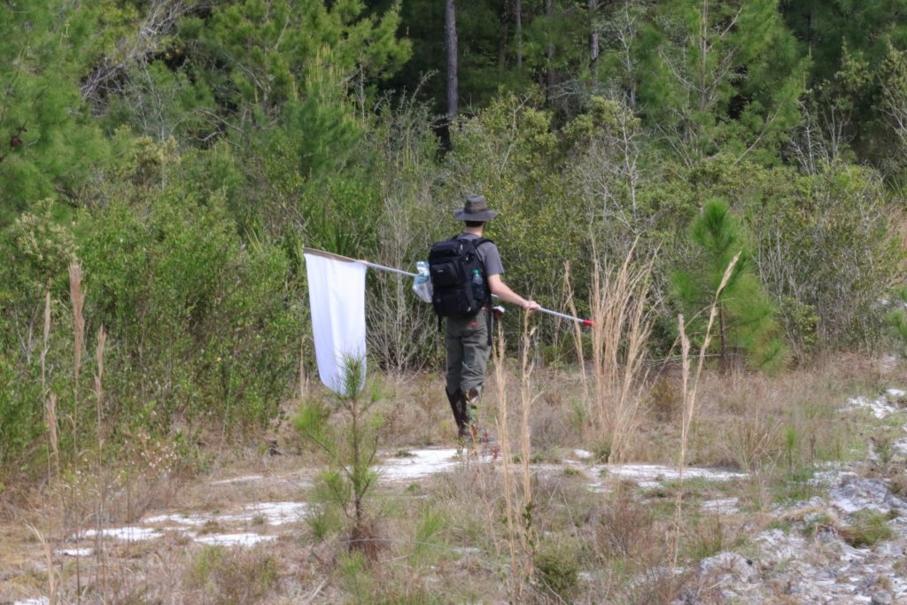 Picture of a man with a butterfly net in a wooded area.
