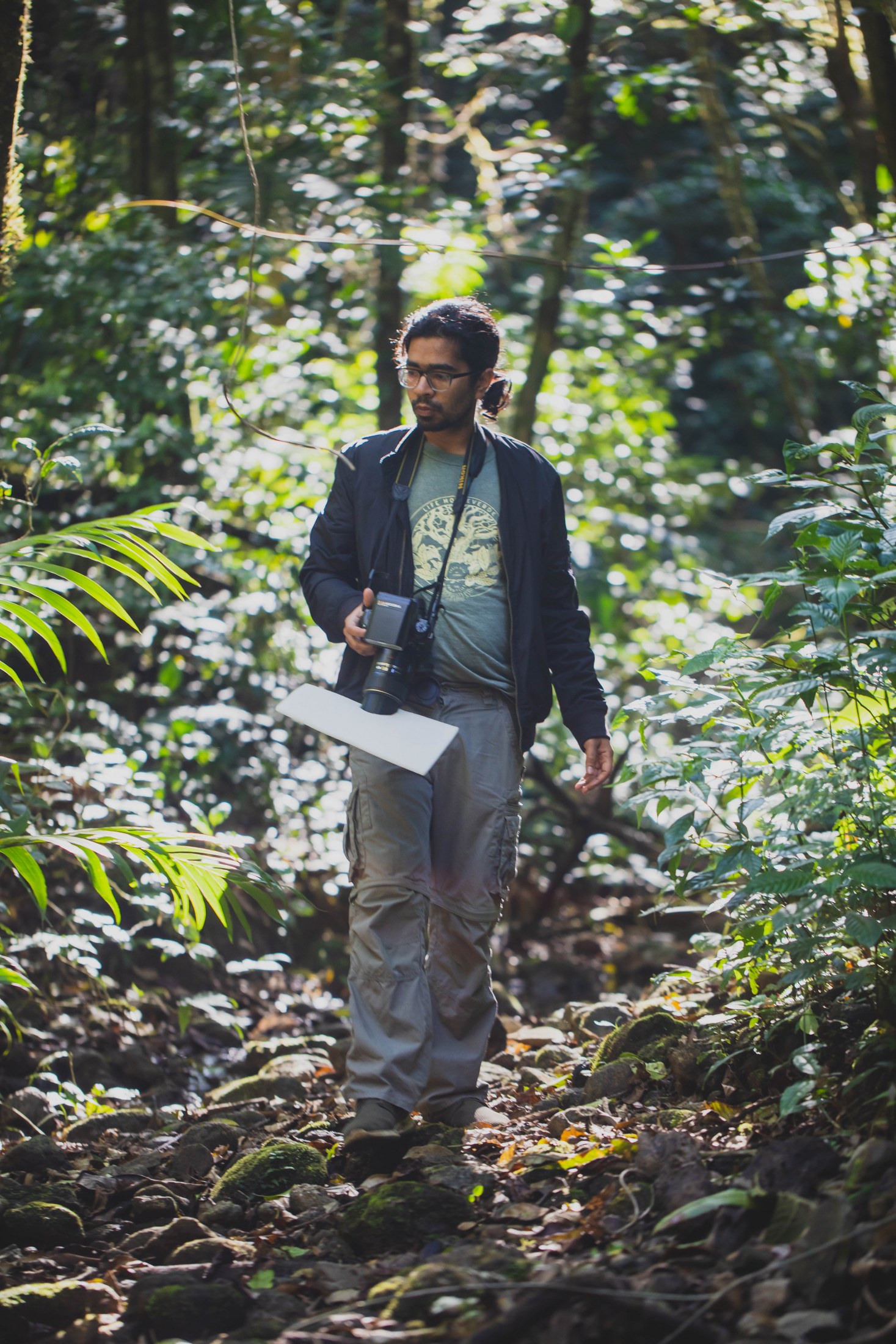 Picture of a man walking in a tropical forest with a camera.