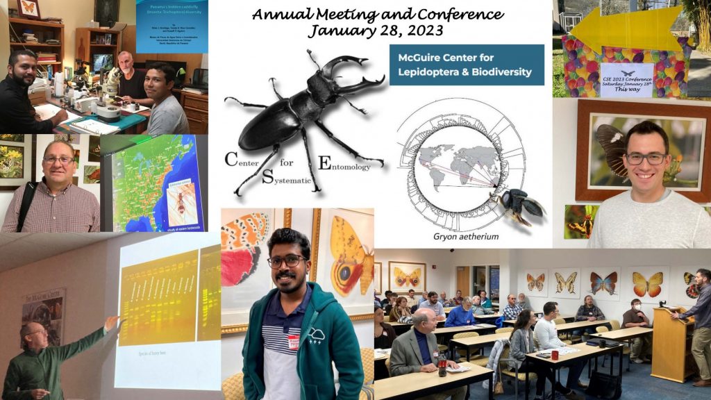 A collage of insect pictures and people sitting and standing at a scientific meeting