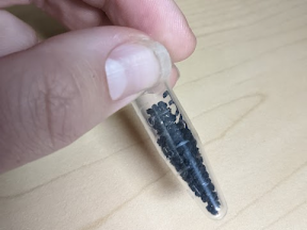 Picture of a vial containing frass or caterpillar poop