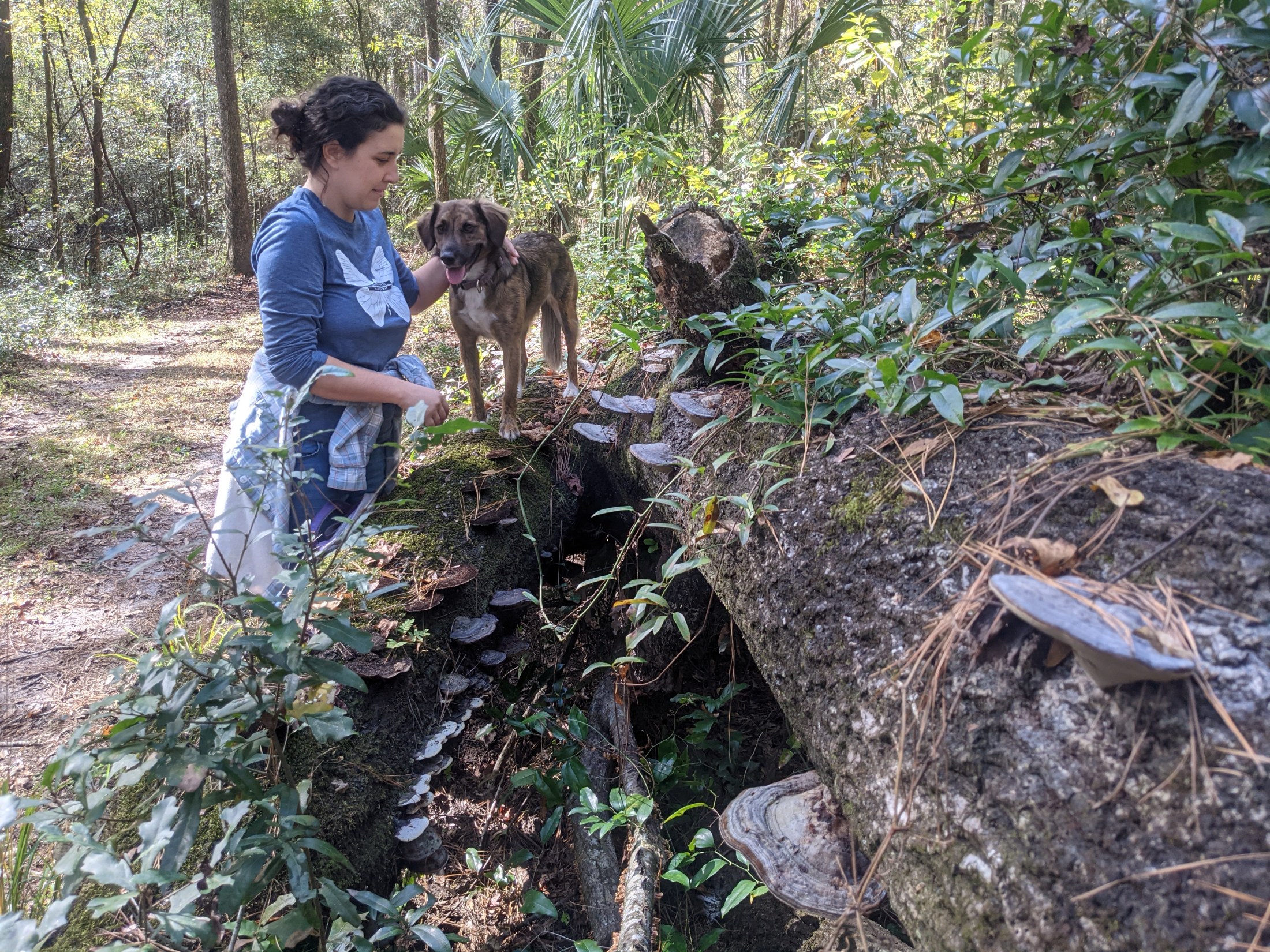 Woman standing in a wooded area next to a dog.