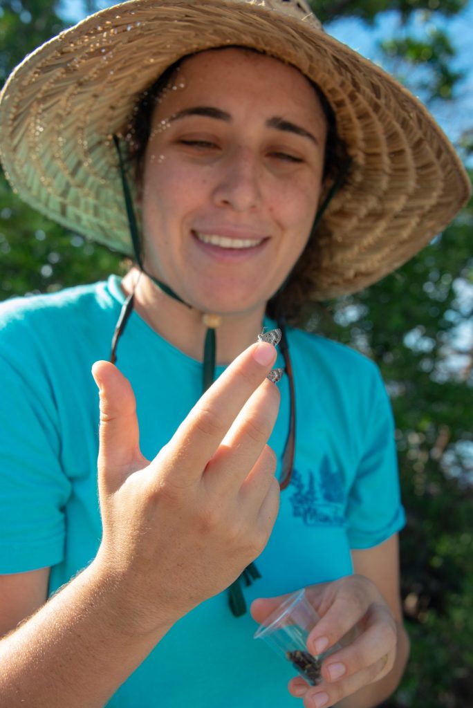 Woman wearing a sun hat and holding two small butterflies perched on her fingers.
