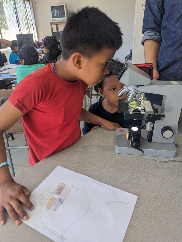 Picture of a boy looking through a microscope.
