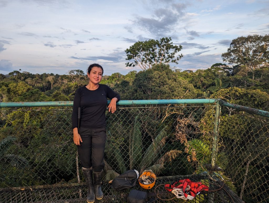 Picture of a woman standing on a canopy platform overlooking tropical forest.