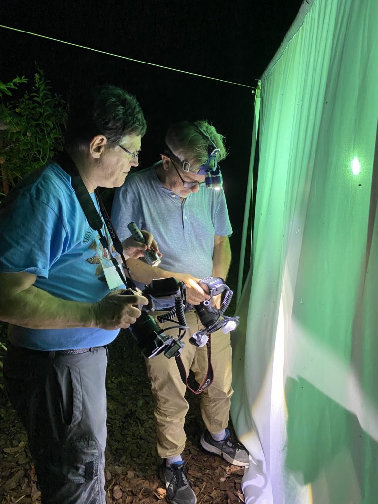 Two men photographing moths at a light sheet.
