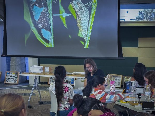 IHMC Biology of Butterflies Science Saturday, November 2025