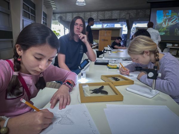 IHMC Biology of Butterflies Science Saturday, November 2025